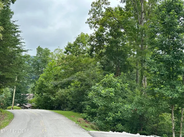 LOT 21 Ridge Rd, Caryville, TN 37714