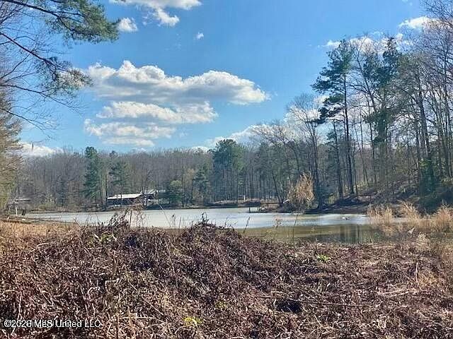 2nd image of Turkey Creek Rd