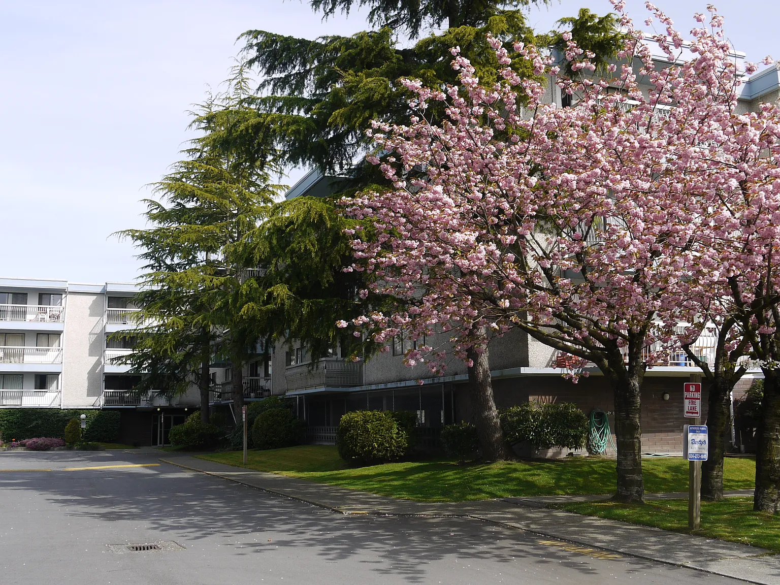 Bluehaven — Photo 3