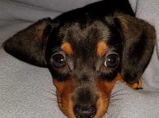 160 Tottenham Way, Suwanee, GA 30024