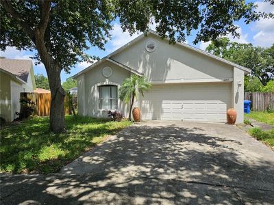 6203 Calamari Pl, Riverview, FL, 33578