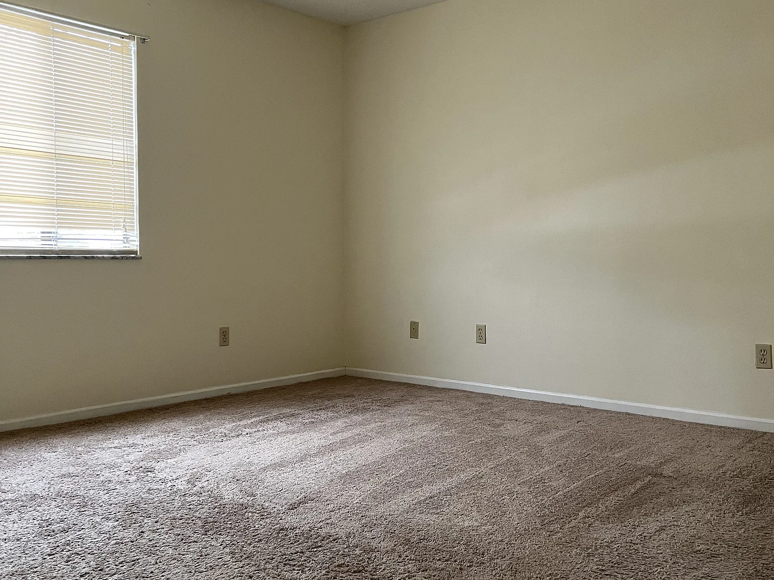 1 bed, 650 sqft, $795 — Photo 3