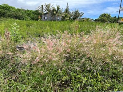 94-5721 Kalakau St, Naalehu, HI, 96772