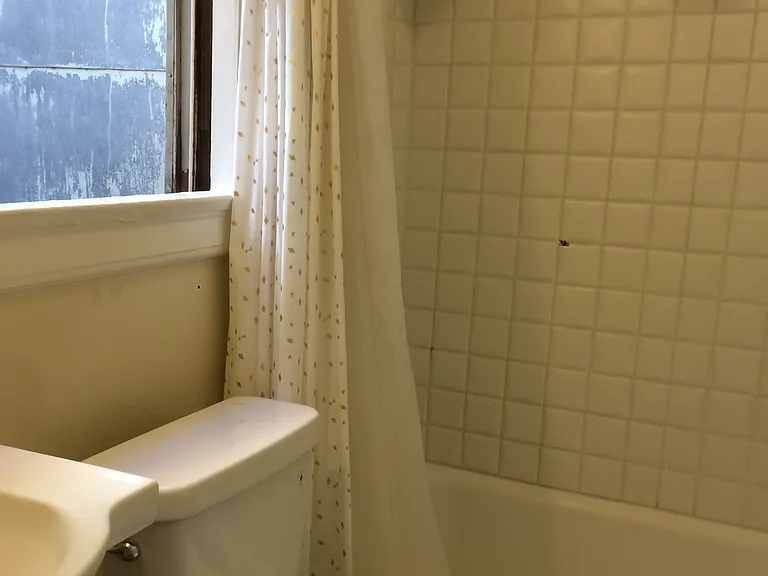 821 Pine St #12A — Photo 12