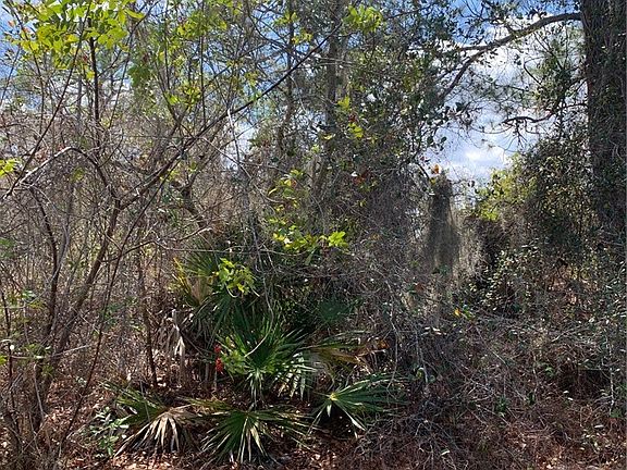 2nd image of 3250 W Josephson Rd