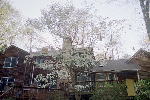 Back yard view