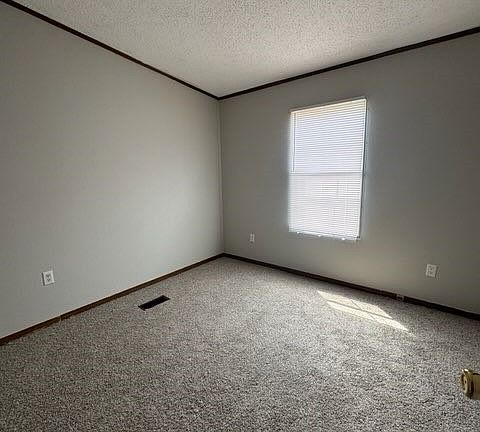 3rd image of 2904 Lumina Pl