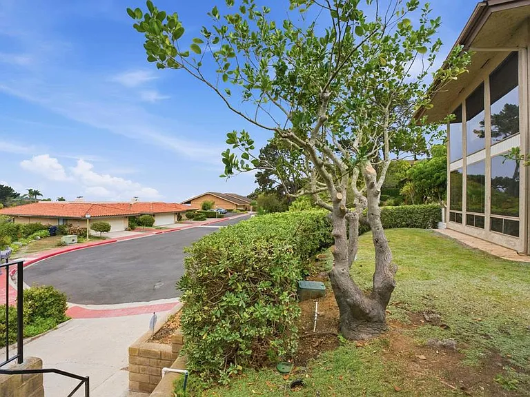 7643 Caminito Coromandel — Photo 6