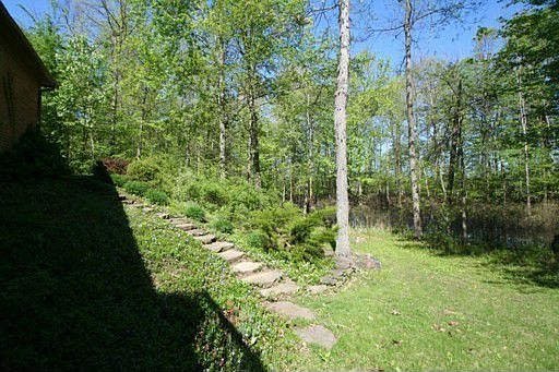 Back Yard & Views