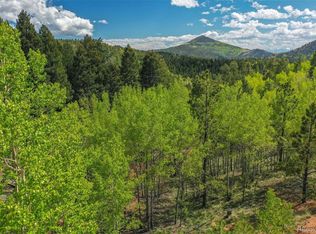 412 & 486 Princess Rd, Cripple Creek, CO 80813