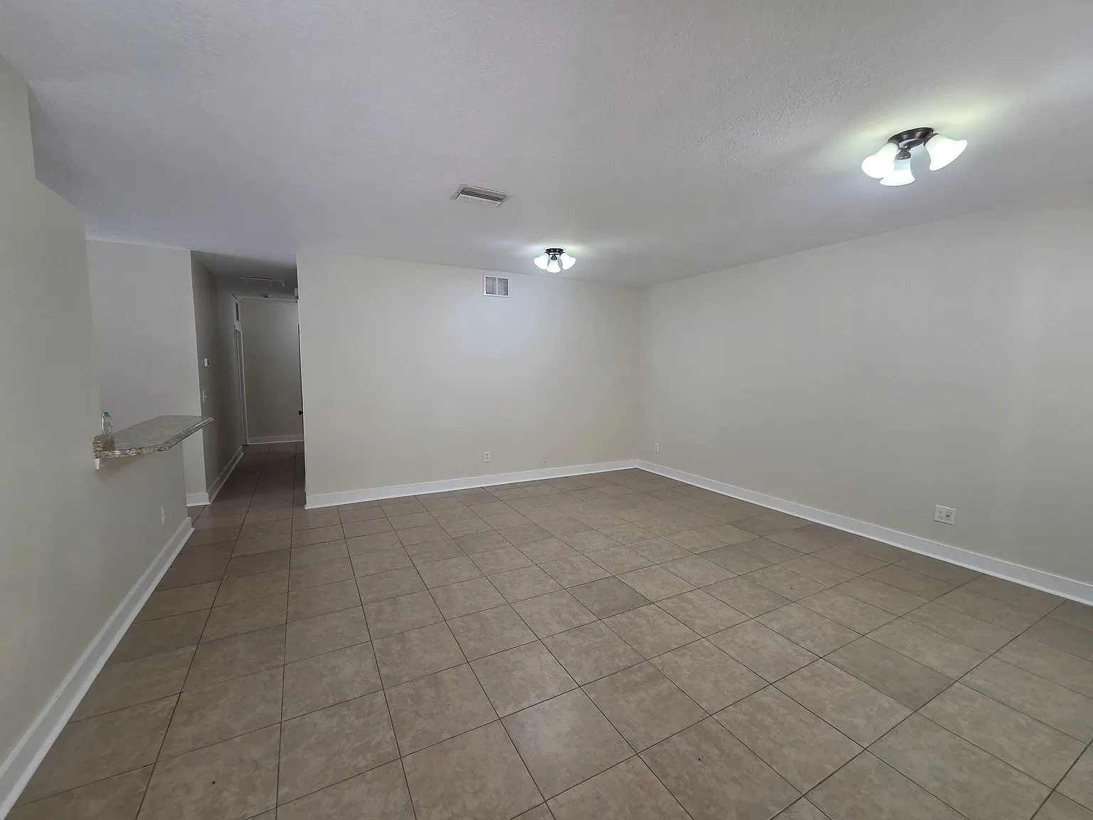 10347 Lakeside Vista Dr — Photo 4