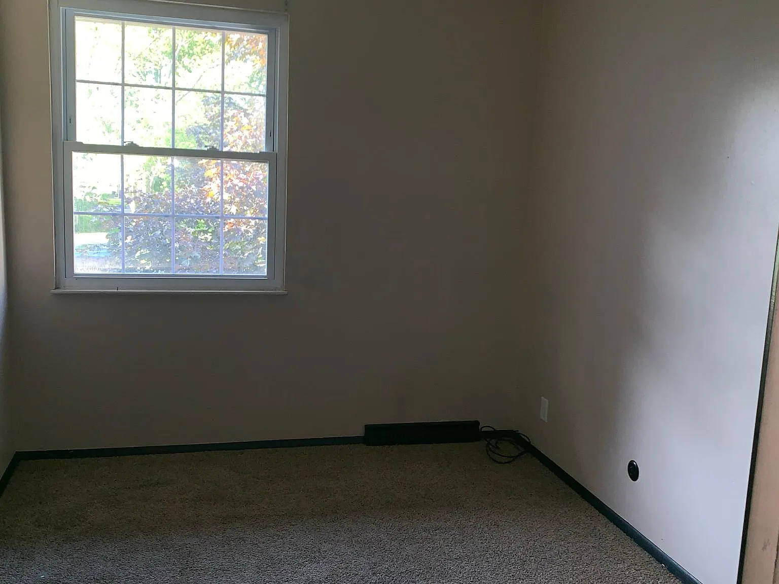 4199 New Rd — Photo 3
