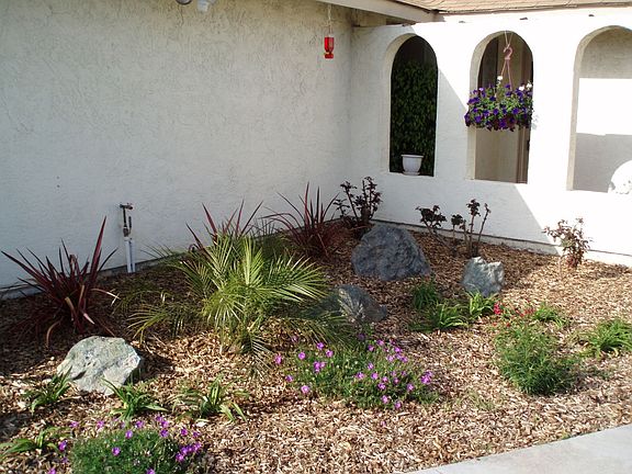 New front landscaping