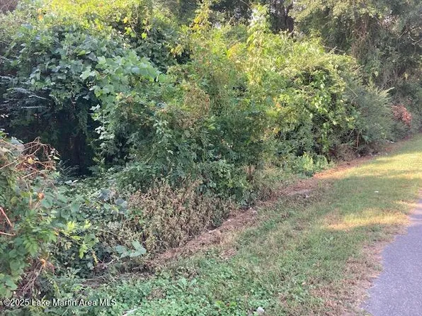 Lots 1 & 2 C St, Alexander City, AL 35010