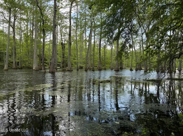 County Road 550, Minter City, MS 38944