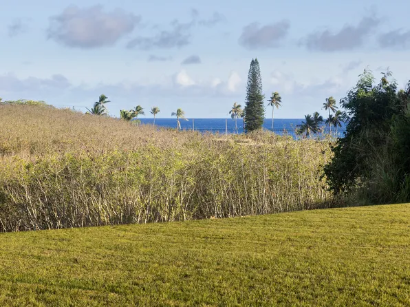 Lau Nahele St Lot 7, Koloa, HI 96756