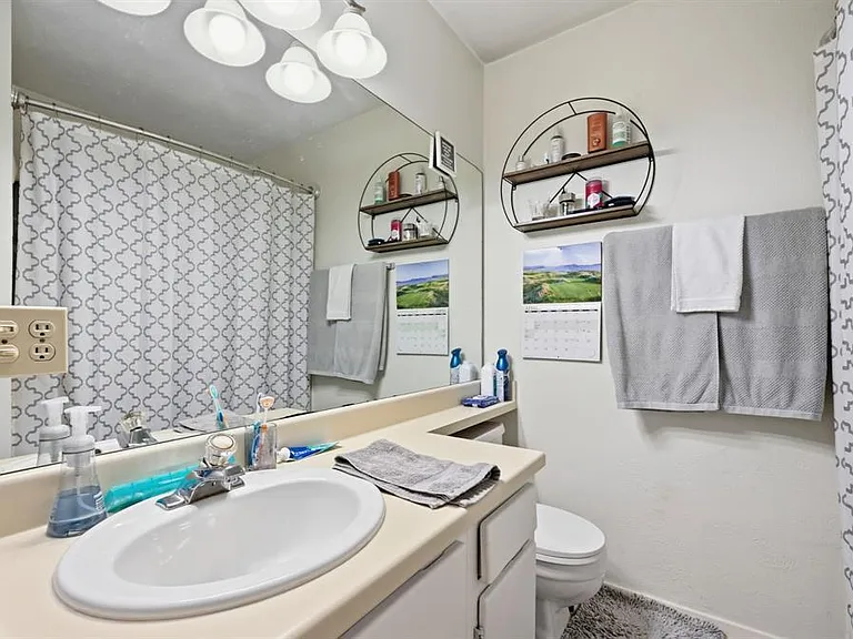 11728 Norwegian Wood Dr — Photo 19