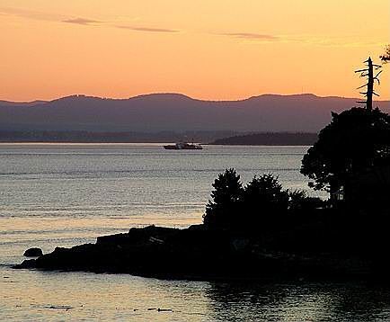 evening view 