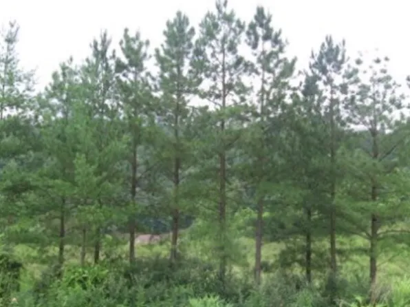 1 Cedar Hts #Phase 7, Pikeville, KY 41501