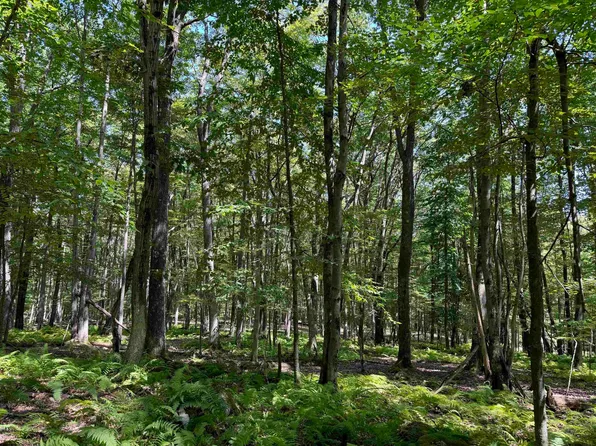 Lots 145 147 Windflower Dr, Terra Alta, WV 26764