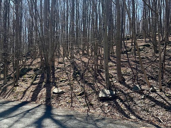 3rd image of LOT 144 Sheridan Rd