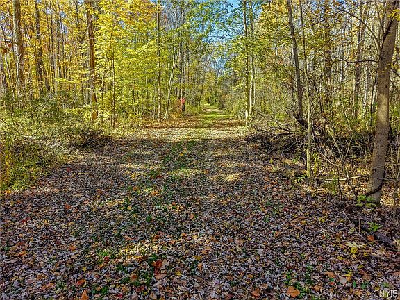 4th image of 9195 60th Rd Lot 20