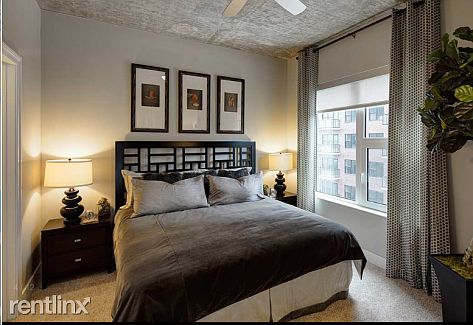 5th image of 111 W Polk St APT 410