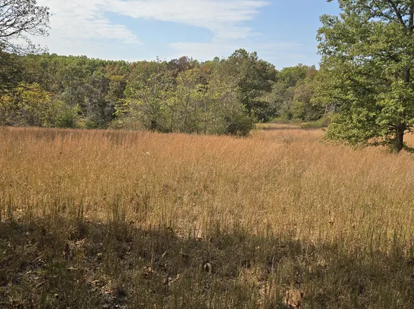 Lot #5 Arden Ridge, Ava, MO 65608