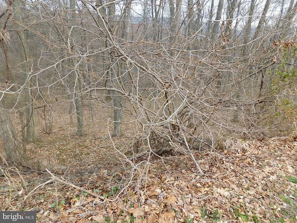 2nd image of 0 Colony Ln