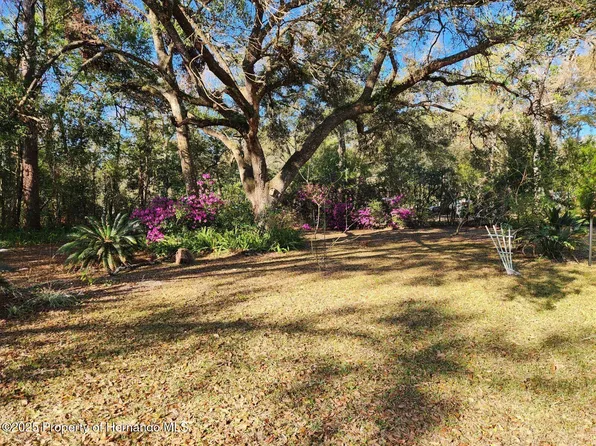 16227 Tascosa Ave, Brooksville, FL 34604