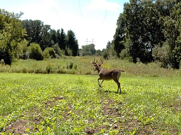 3rd image of Cty Road 115/ County Rd #115