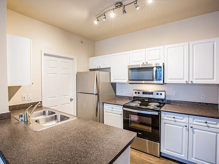 Stainless Steel Appliances*