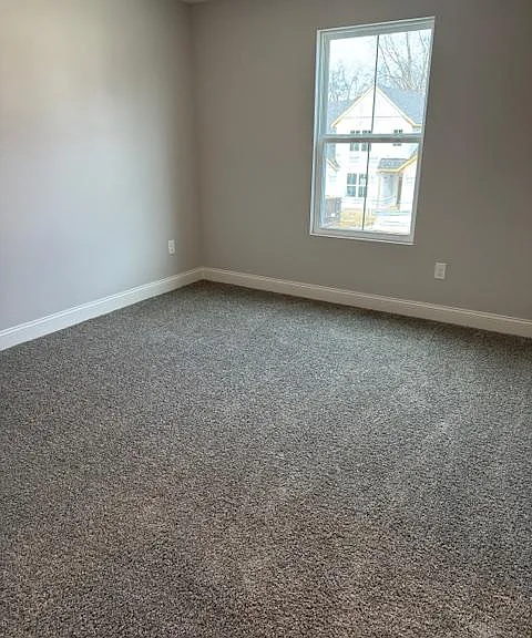 Mustang Cir — Photo 17