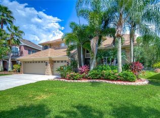 11670 Renaissance View Ct, Tampa, FL 33626