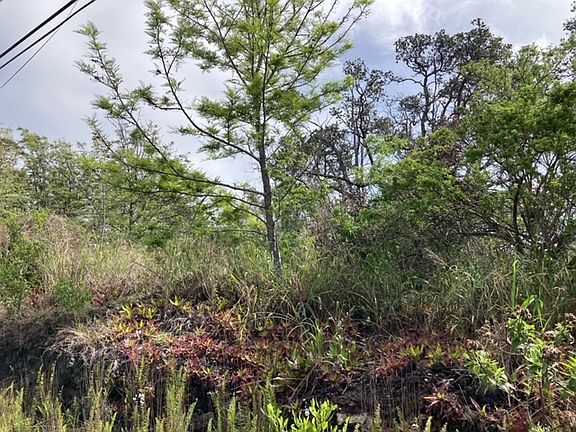 5th image of King Kamehameha Blvd Lot 9