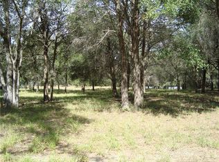 9500 Morton Jones Rd, Gotha, FL 34734