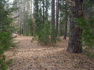 58521 Wagon Wheel Rd, Blairsden Graeagle, CA 96103