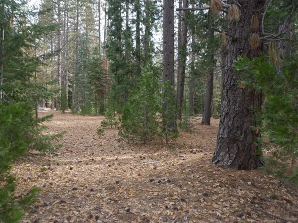 58521 Wagon Wheel Rd, Blairsden Graeagle, CA 96103