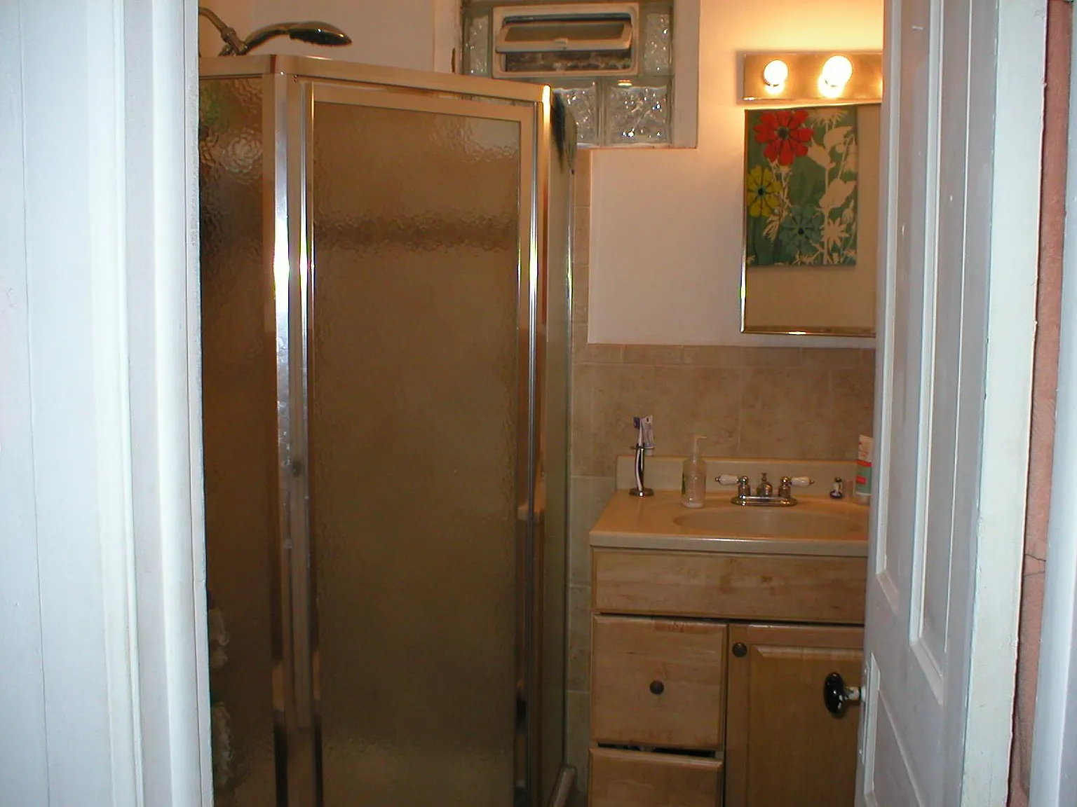 3 bed, 1200 sqft, $3,900 — Photo 3
