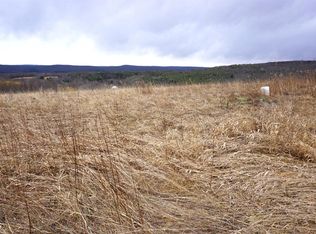 Frank Briggs Rd, Oneonta, NY 13820