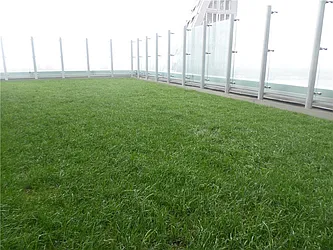 Rented by R New York