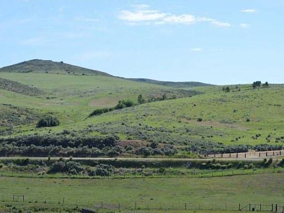 View Behind Back Yard