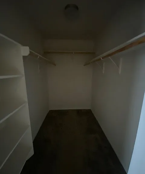 607 Constellation Dr — Photo 9