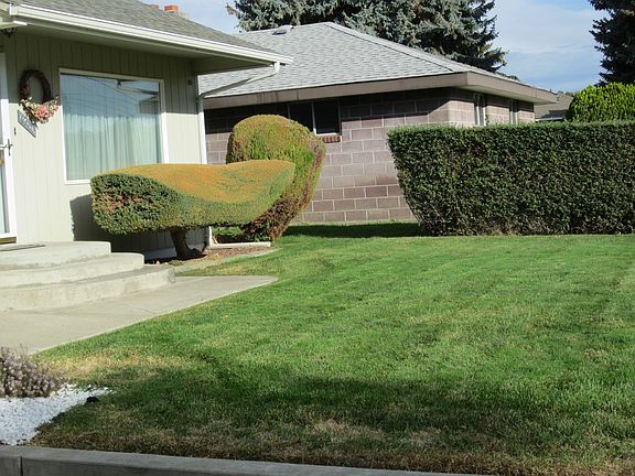 Neatly Manicured Yard