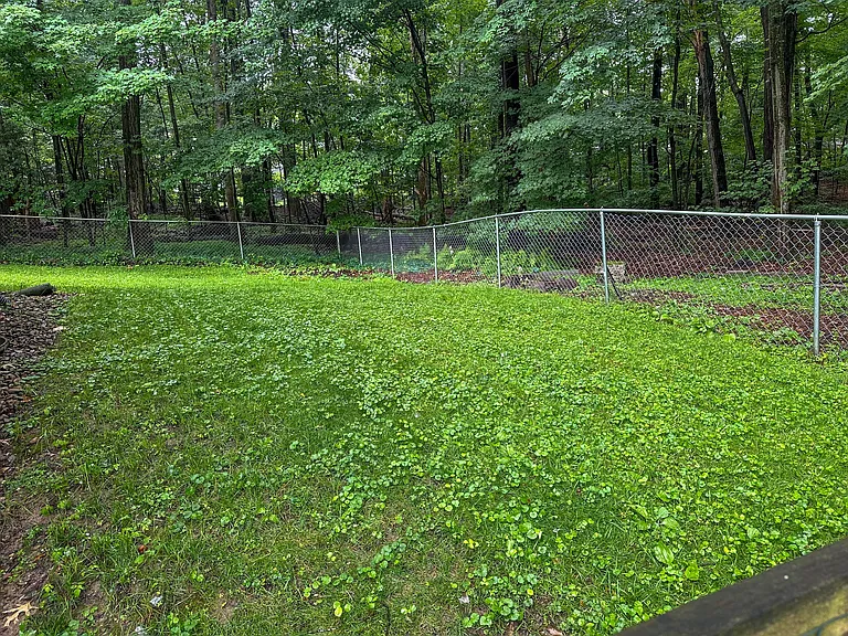 200 Oakley Dr — Photo 30