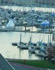 Water View from Condo