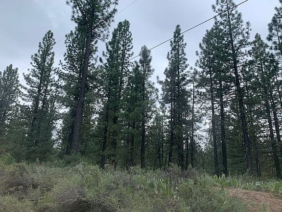 5th image of 6009 N Iron Horse Dr