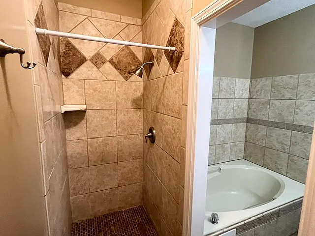 Master bathroom shower