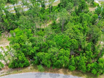  205th LN, Live Oak, FL, 32060