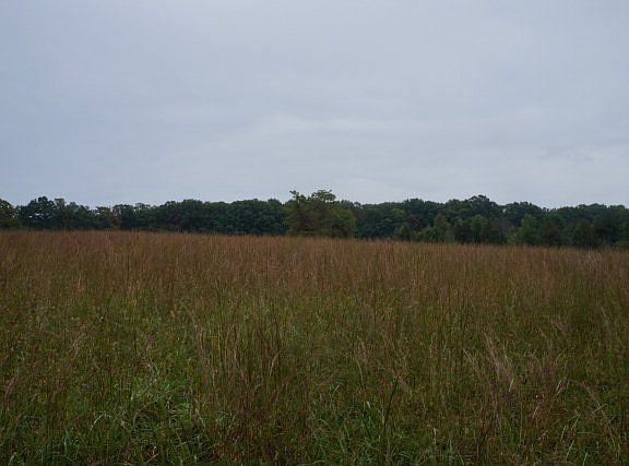 4th image of 12570 County Line Rd